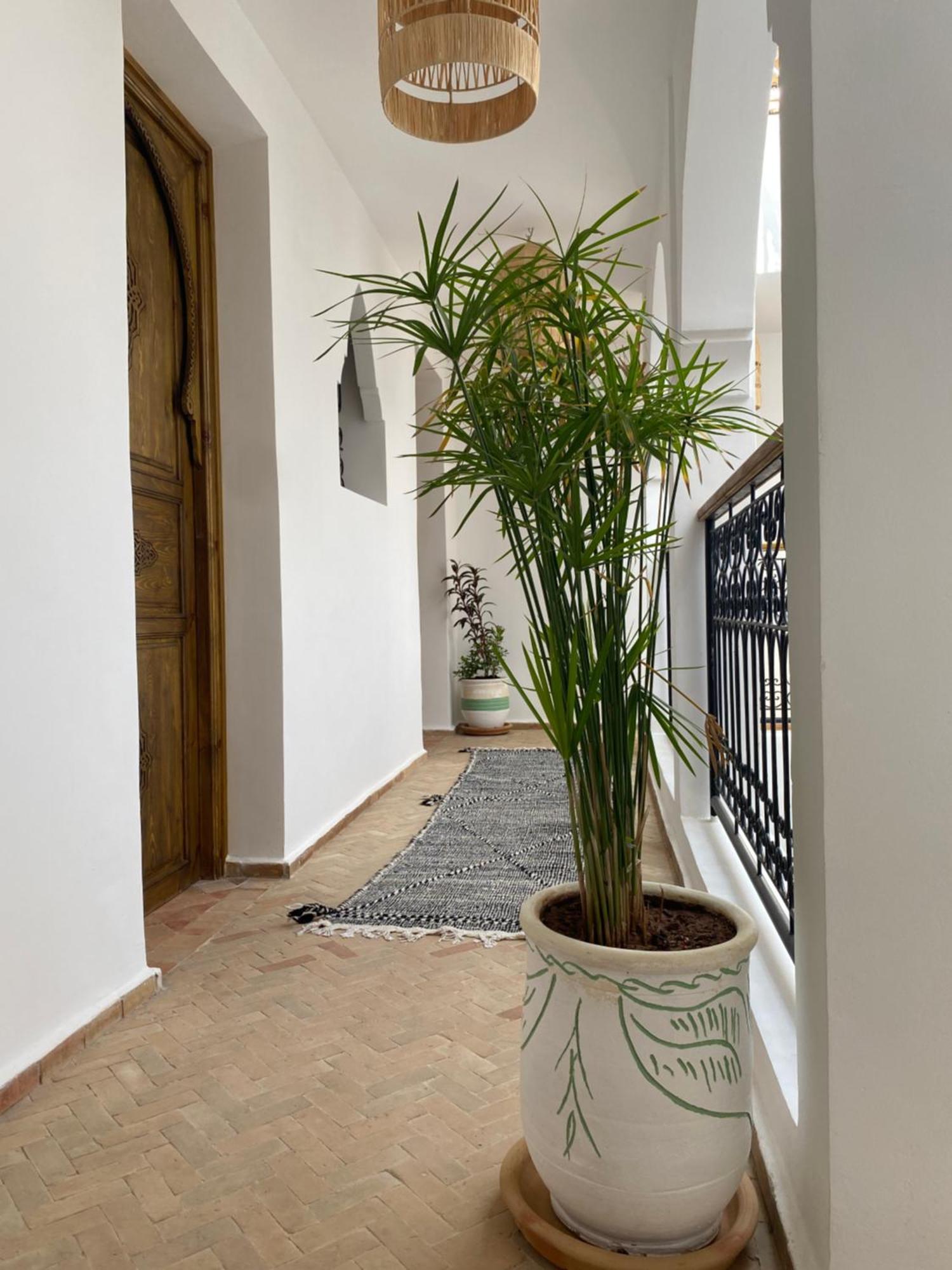 Riad & Spa Sous Le Soleil Chez Jerome Et Pamela Ch Zen มาร์ราเกช ภายนอก รูปภาพ